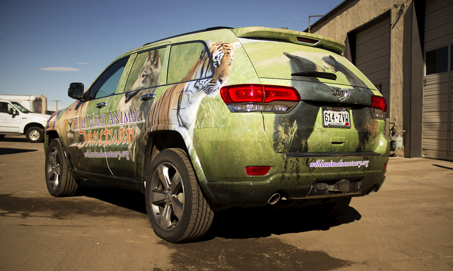 jeep and car wraps in colorado